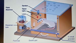 جعبه ی _اسکینر
