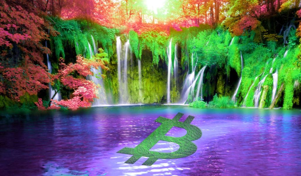 تحلیلگر برتر بازار از احتمال برگشت قیمت بیتکوین و ویچین می گوید!