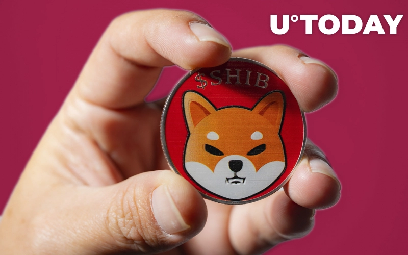 با وجود سقوط شدید قیمت شیبا، حجم بزرگ دیگری از آن سوزانده شد!