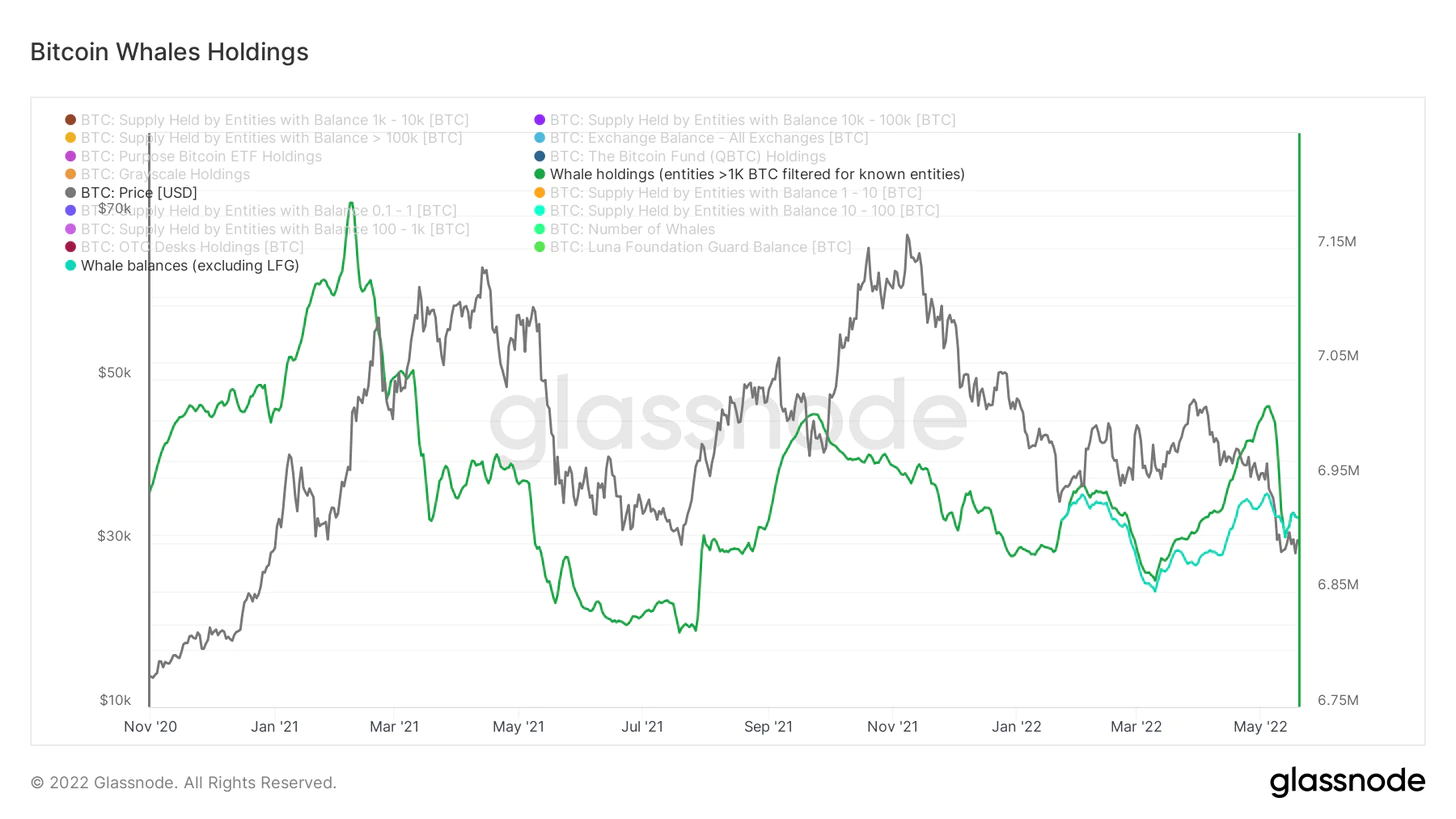 موجودی نهنگ های بیت کوین