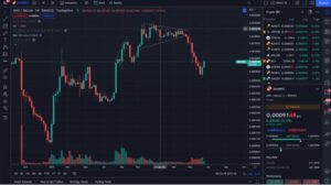 با سقوط بیت کوین تغییراتی در بازار آلت کوین اغاز شده است