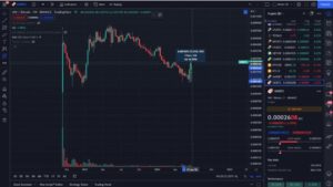 با سقوط بیت کوین تغییراتی در بازار آلت کوین اغاز شده است