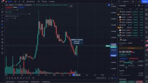 با سقوط بیت کوین تغییراتی در بازار آلت کوین اغاز شده است
