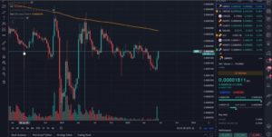 با سقوط بیت کوین تغییراتی در بازار آلت کوین اغاز شده است
