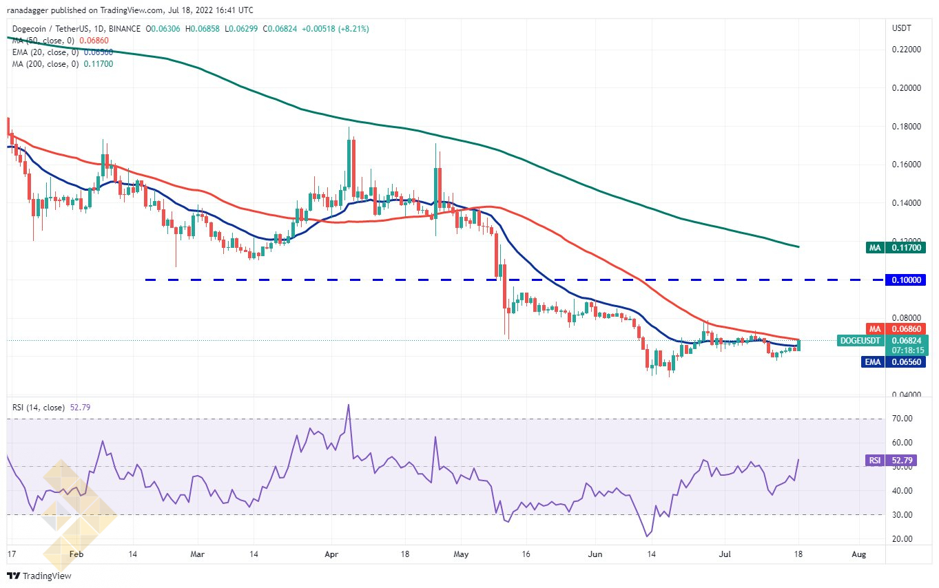 چارت روزانه دوج کوین