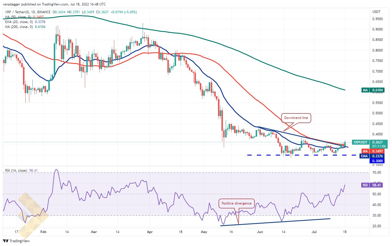 چارت روزانه ریپل