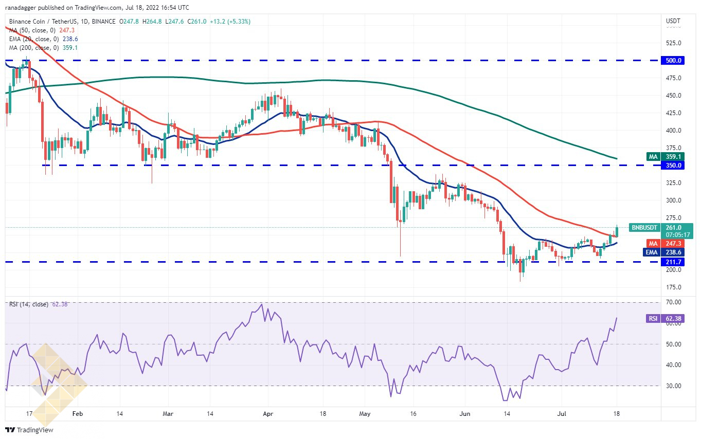 چارت روزانه بایننس کوین