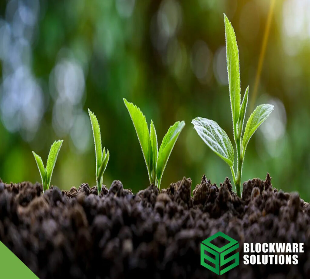 مقاله جامع ساختار چرخه بازارهای مالی