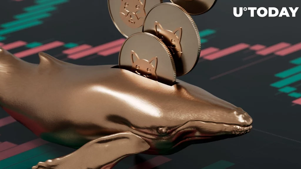 خرید 24 میلیون دلار شیبا اینو توسط نهنگها