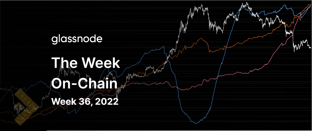 گلسنود: هفته نامه تحلیل بیت کوین – هفته 36 سال 2022