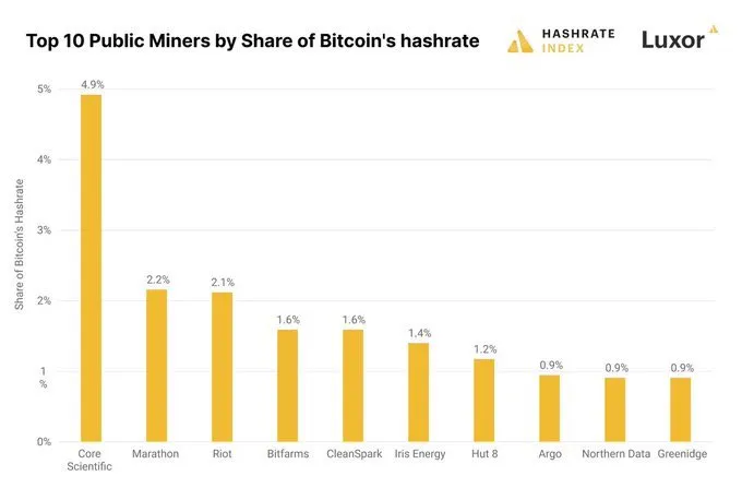 10 ماینر برتر بر اساس سهم از نرخ هش