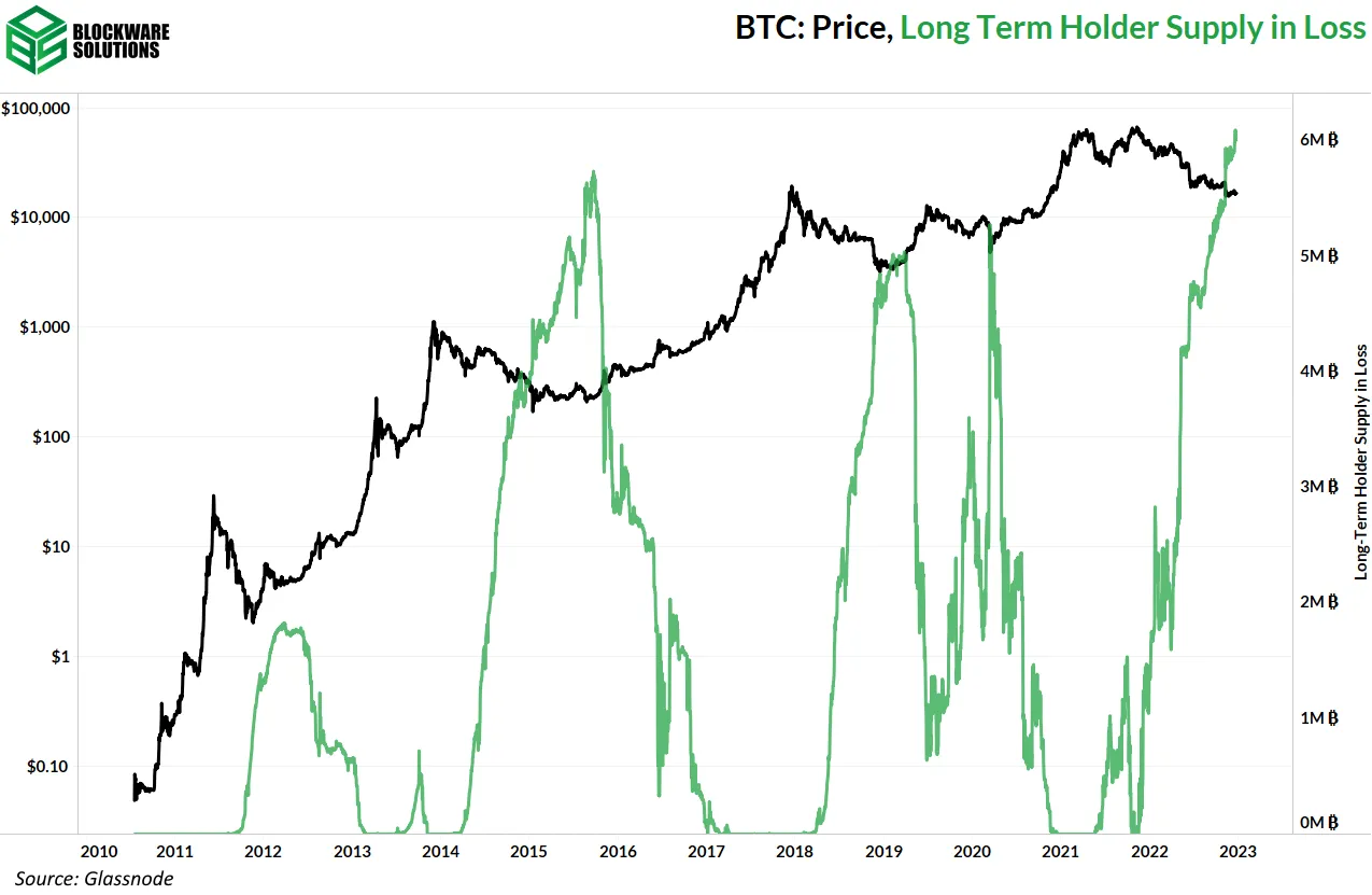 موجودی متضرر LTH ها