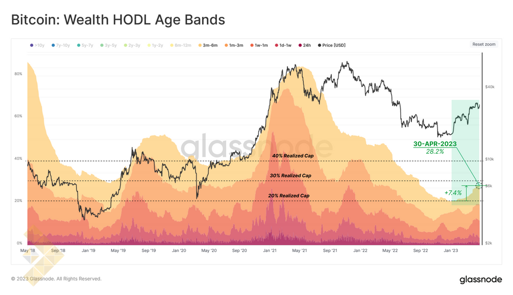 باند سنی ثروت هودل