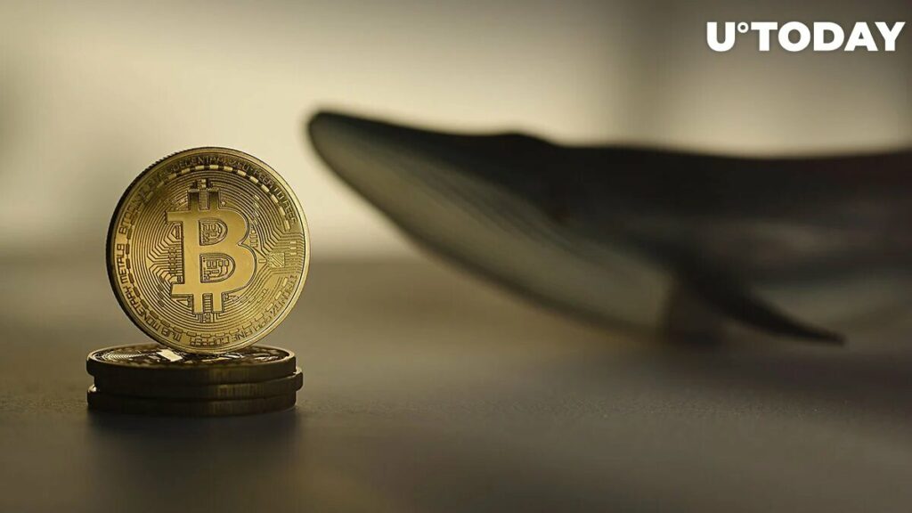 بیت کوین