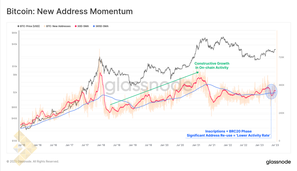 مومنتوم آدرسهای جدید