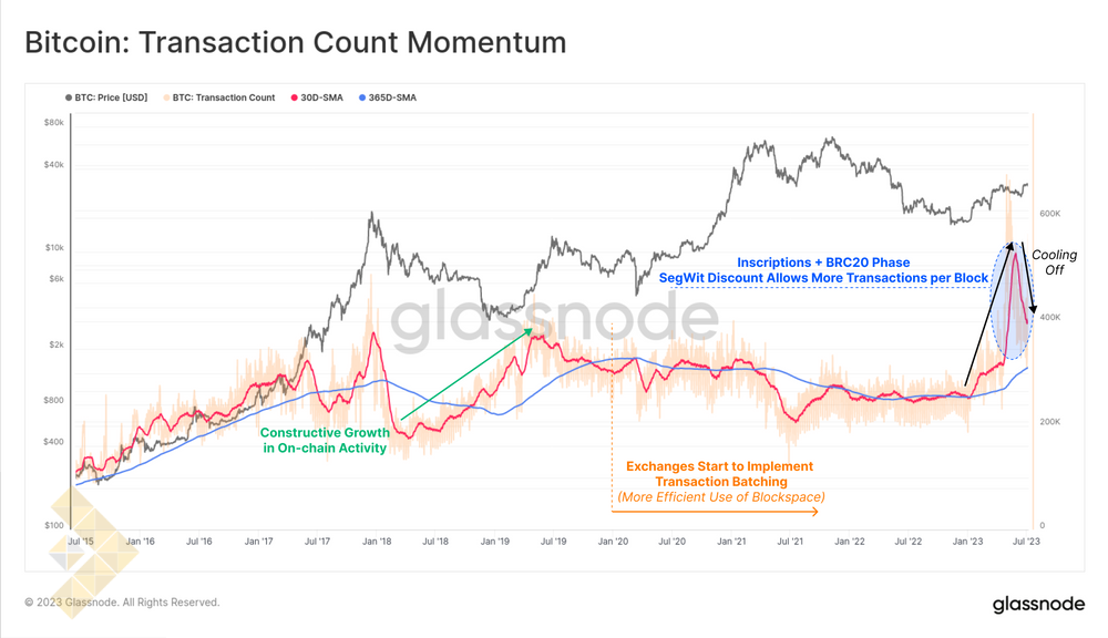 مومنتوم تعداد تراکنشها