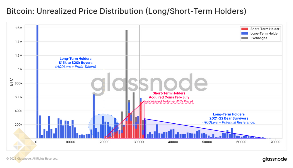 توزیع قیمت محقق نشده (هولدرهای کوتاه/بلند مدت)