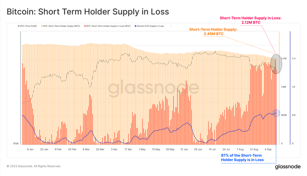 موجودی متضرر هولدرهای کوتاه مدت