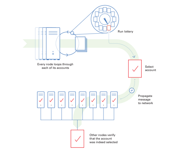 مدل کارکرد شبکه الگوراند