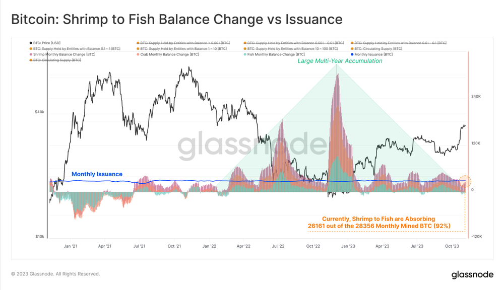 مقایسه تغییر موجودی میگوها تا ماهی‌ها و صدور کوین