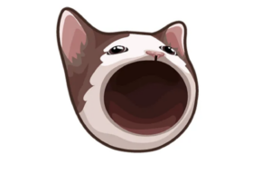 میم کوین POPCAT